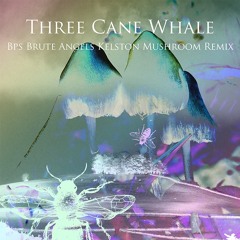Three Cane Whale - BPS Brute Angels Kelston Mushroom Remix