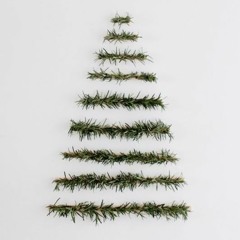 Babak – What's Your Pleasure (HNY Free Download)