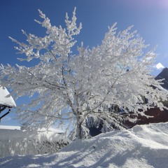 winter 2016