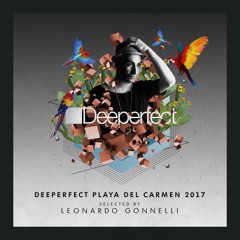 Leonardo Gonnelli - She Likes It (Original Mix)