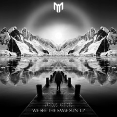 Scale - Antimatter (We See The Same Sun LP - Monochrome Recordings)