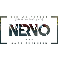 NERVO - Did We Forget (feat. Amba Shepherd) [MindLives BootLeg]