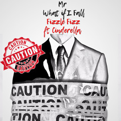 Mr What If I Fall - Fizzle FIzz Ft Cinderella