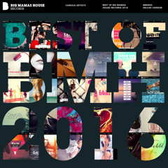 Various Artists - Best Of Big Mamas House Records 2016