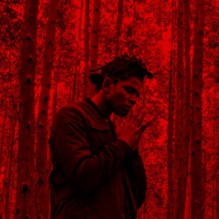 Rudiment ft. LANI [prod. strngr. x alfon zaaberg]
