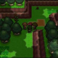 KingCoobie - Eterna Forest - Open Loop Wednesdays