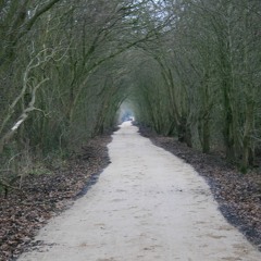 buskers wages - mischief brew cover