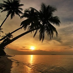 Walk With You 12-30-2016