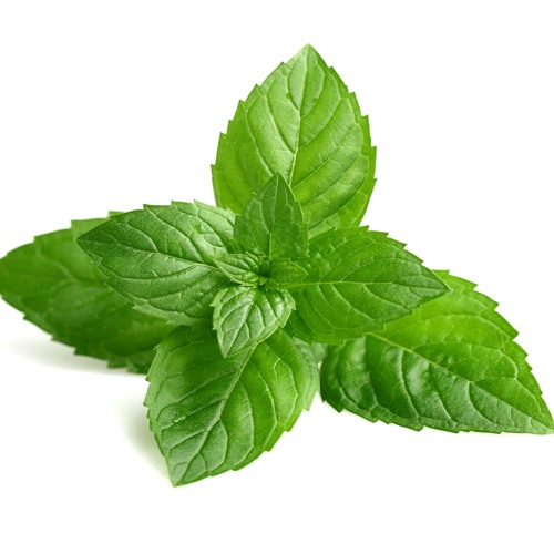 Minty