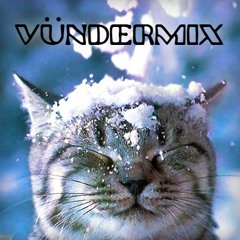 Vündermix Vol 2