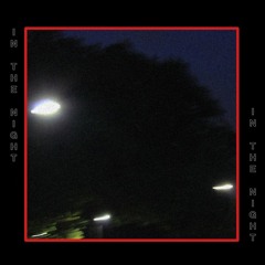 Sloan Evans - In The Night
