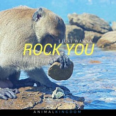 IJUSTWANNAROCKYOU