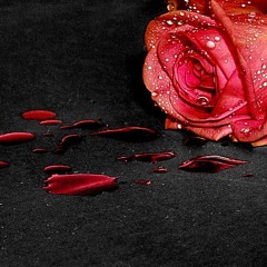 Wait (Golden Empyre Remix)