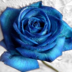 Hyde & Sick - Could we ever... (Pesto Kinti remix)