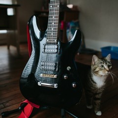 Shoegaze, dreampop & psych playlist #148*