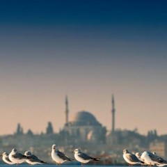 وُجُوهٌ يَوْمَئِذٍ نَاضِرَةٌ | عبد الله الخلف