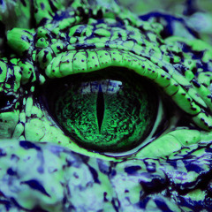 5Kiev-1London(korg gadget only)