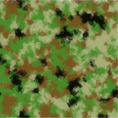 Enter the Camo