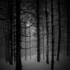 Lenni&Jenny allein im Wald! (BFT Mix)