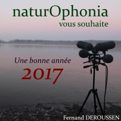 Fernand DEROUSSEN 30 Decembre 2016 DER Naturophonia.WAV