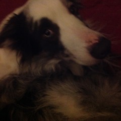 All Doors Open in Baltimore (demo)