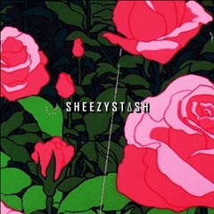 Go Get It! (SHEEZY STΔSH REMIX)
