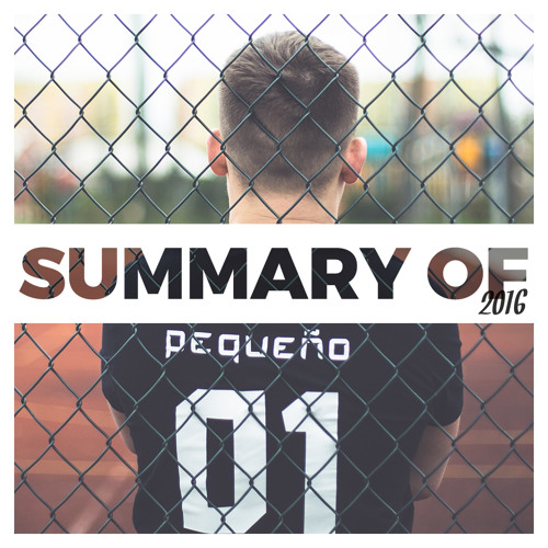 Pequeno - Summary of 2016
