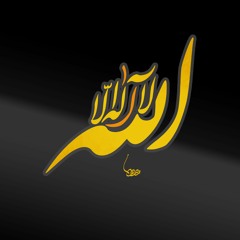 مقطع من العنكبوت. المنشاوي