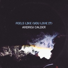 Feels Like (You Love It)(Original Mix)