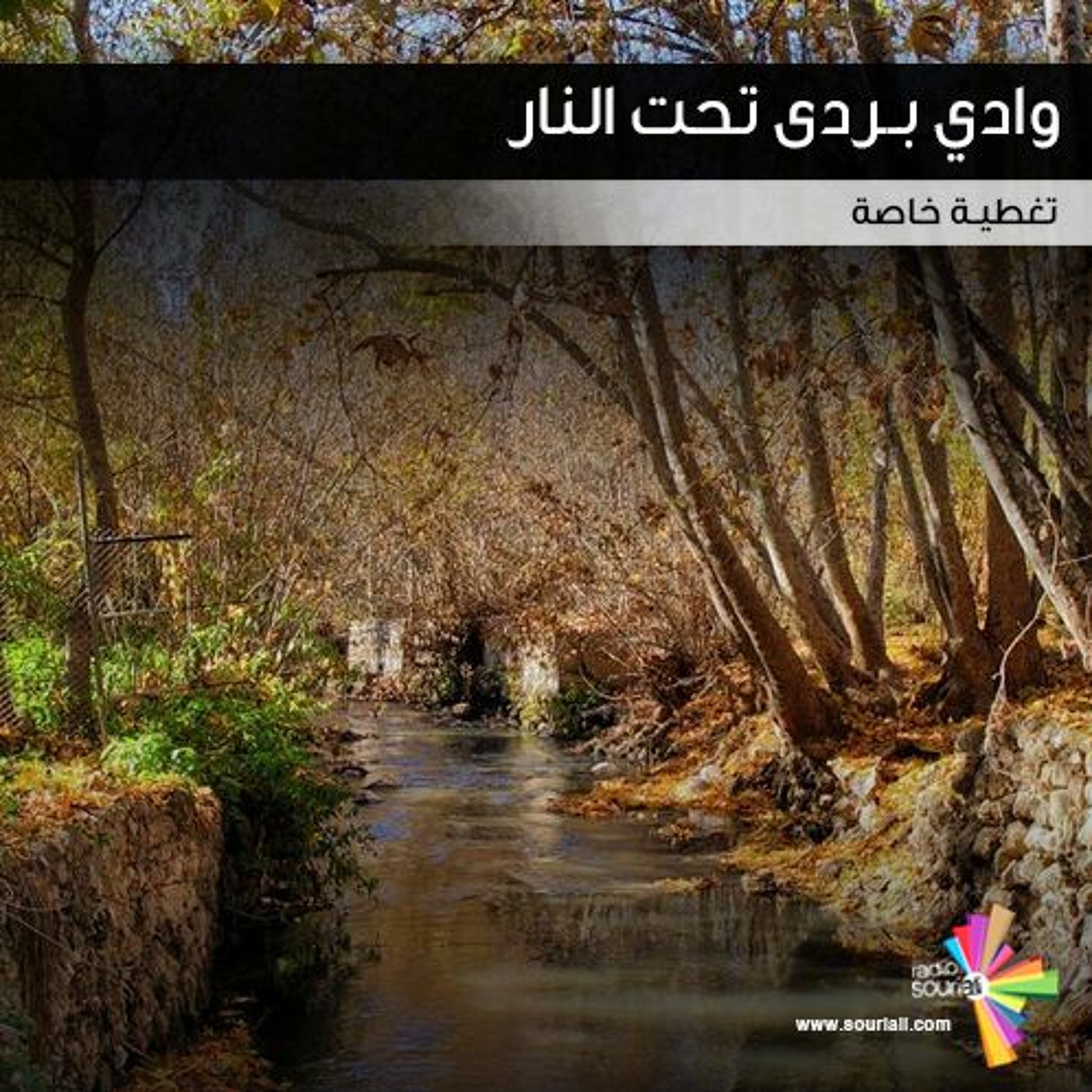 تغطية خاصة 136 - وادي بردى تحت النار‎