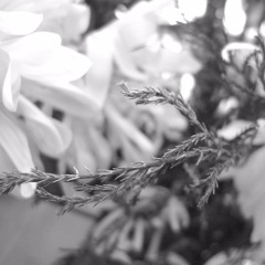 Tri [Post type beat]