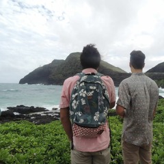 Heavy kine