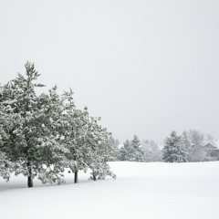 Brenda Lee - Rocking Around The Christmas Tree (epi- Chord REMIX)