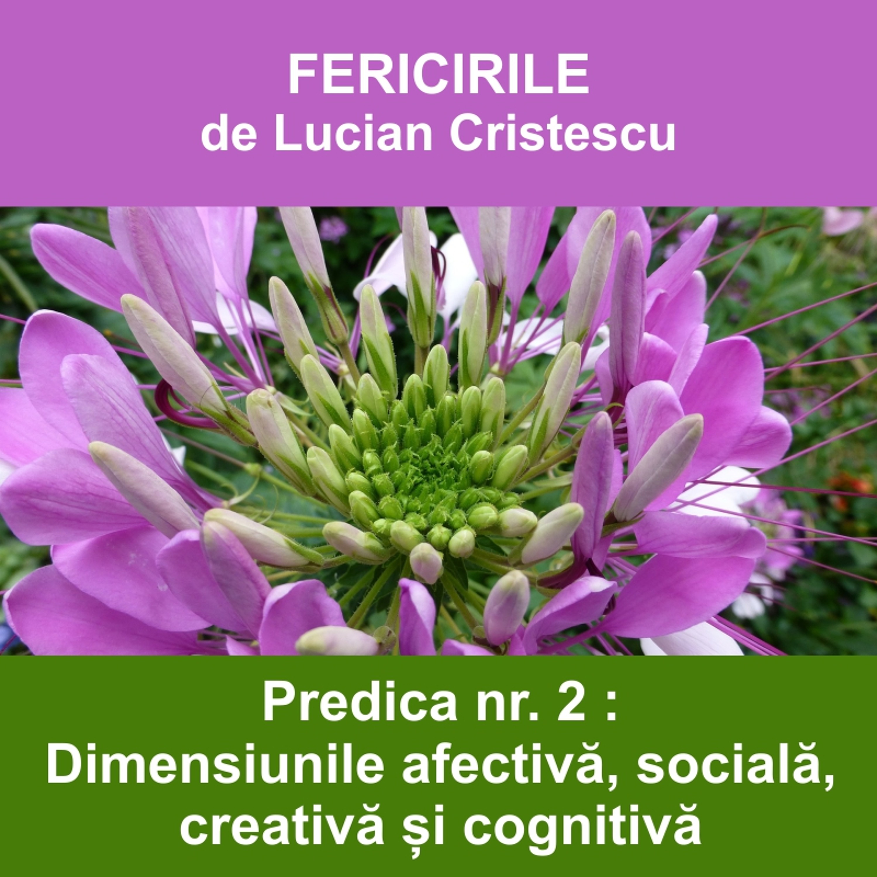 2. Dimensiunile afectivă, socială, creativă și cognitivă - FERICIRILE | Pastor Lucian Cristescu