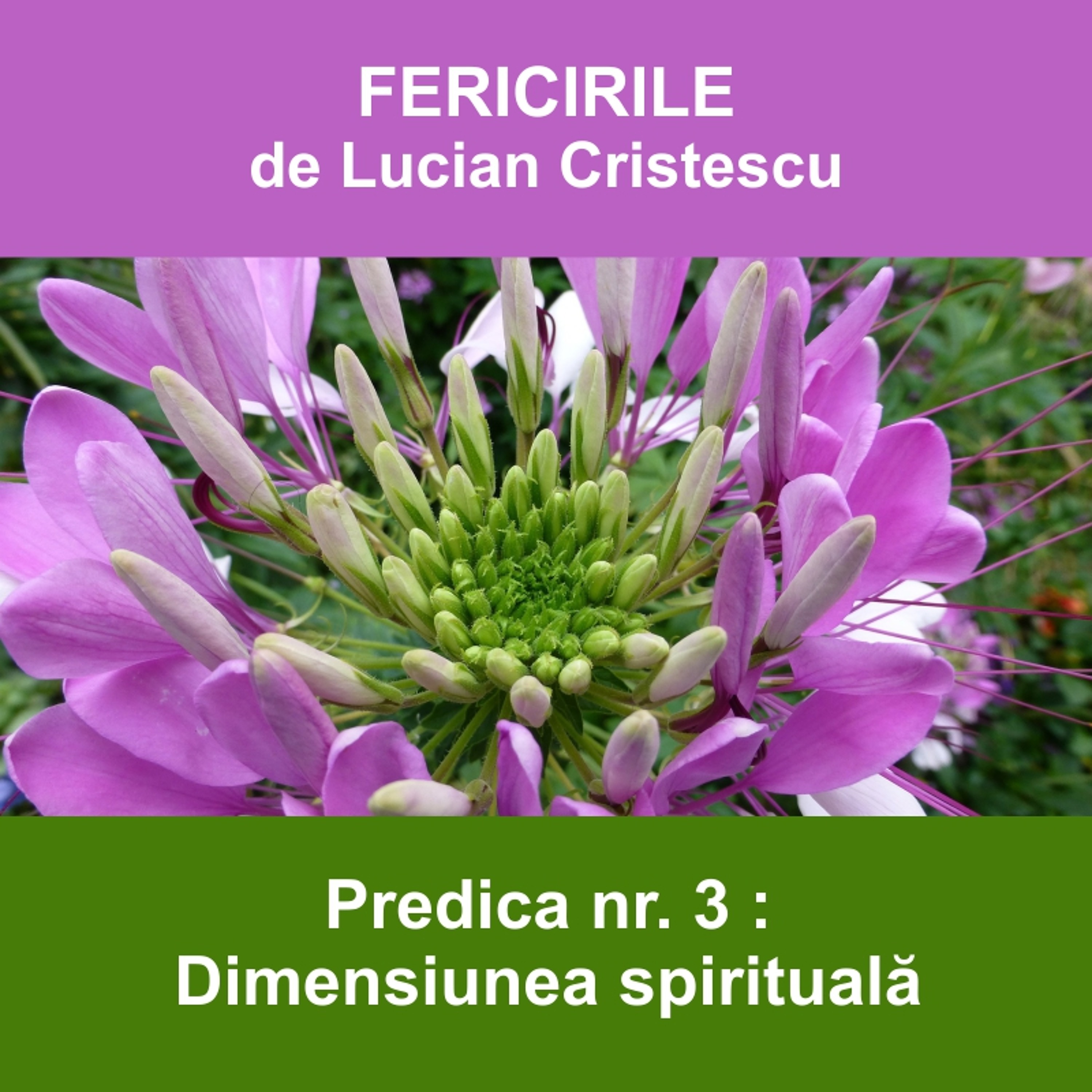 3. Dimensiunea spirituală - FERICIRILE | Pastor Lucian Cristescu