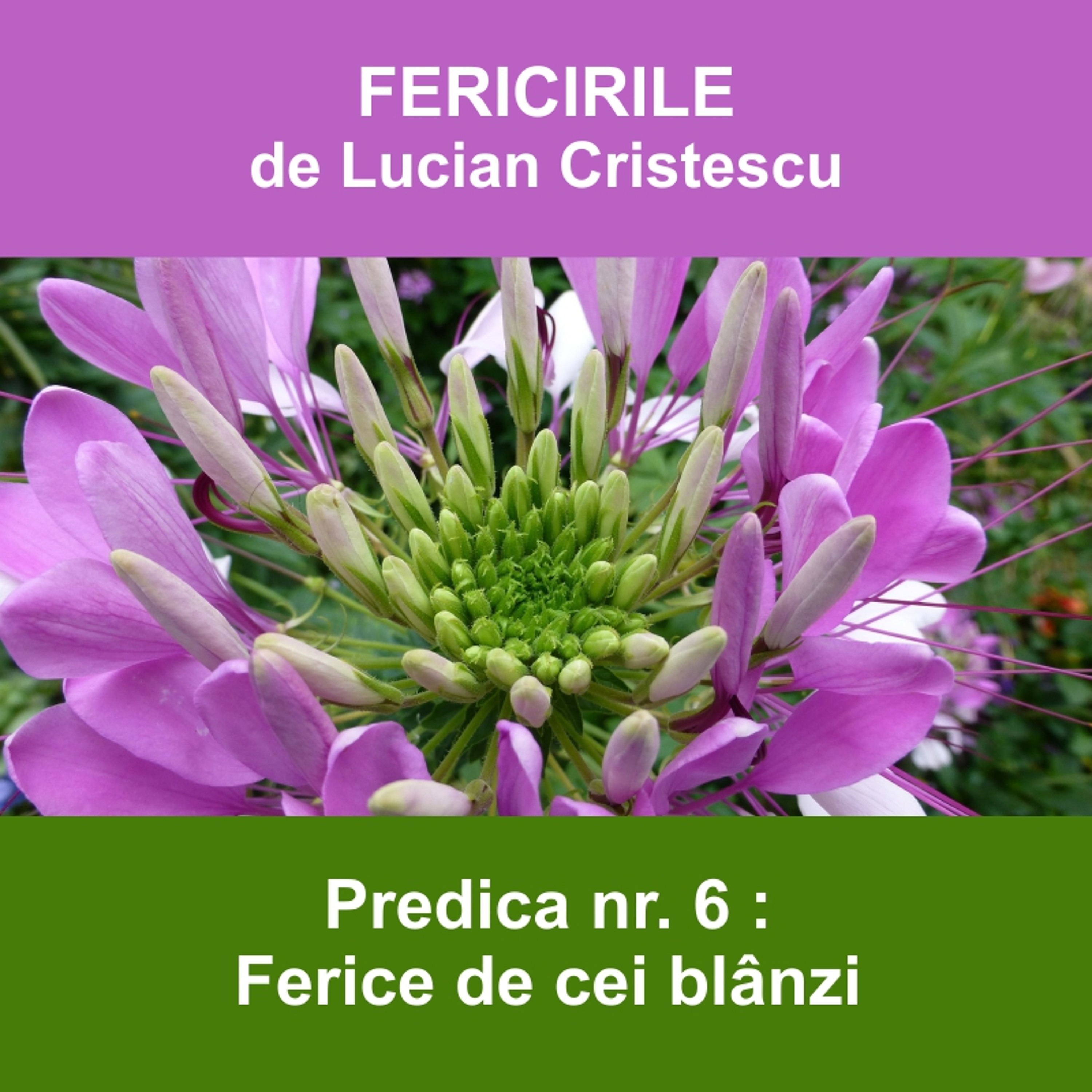 6. Ferice de cei blânzi - FERICIRILE | Pastor Lucian Cristescu