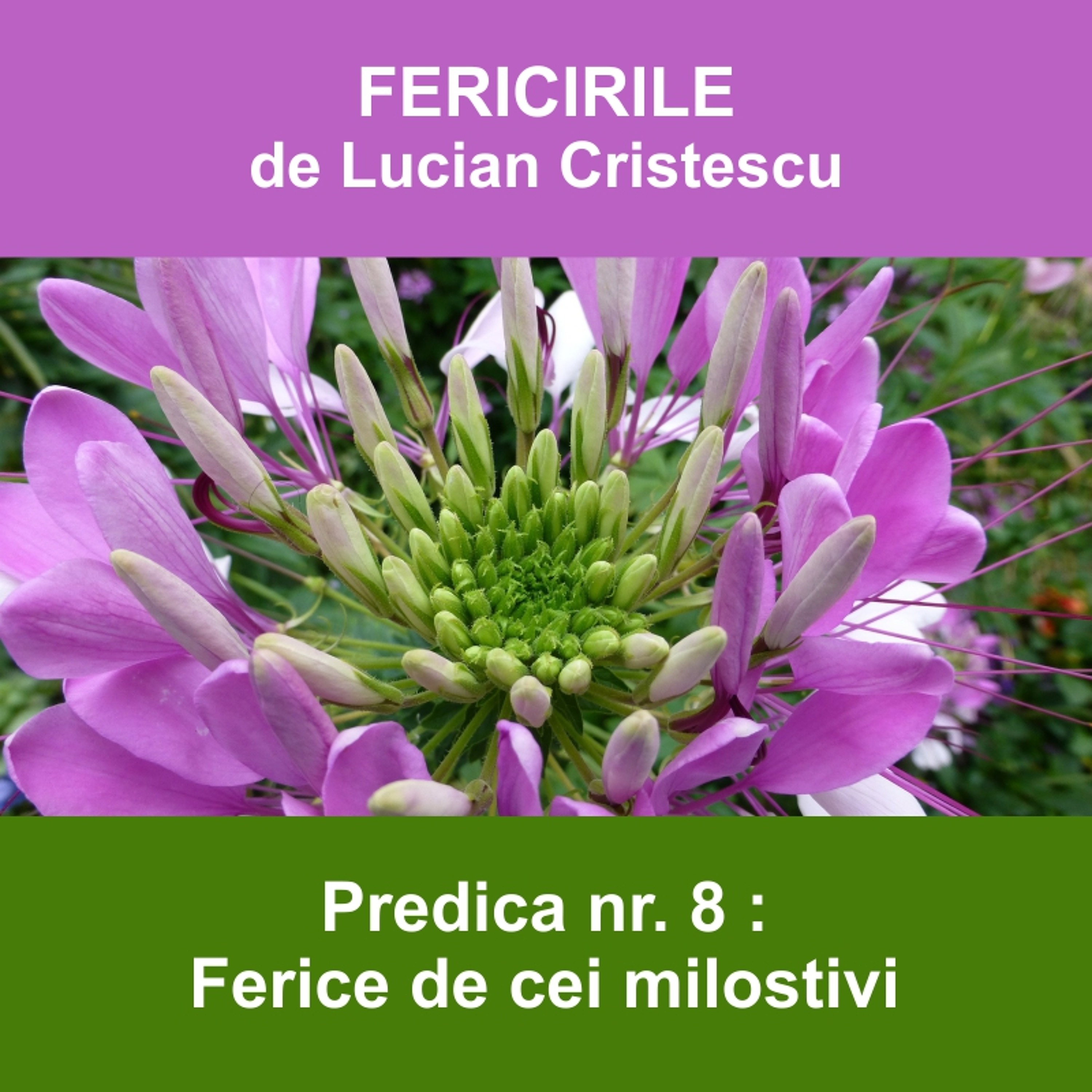 8. Ferice de cei milostivi - FERICIRILE | Pastor Lucian Cristescu