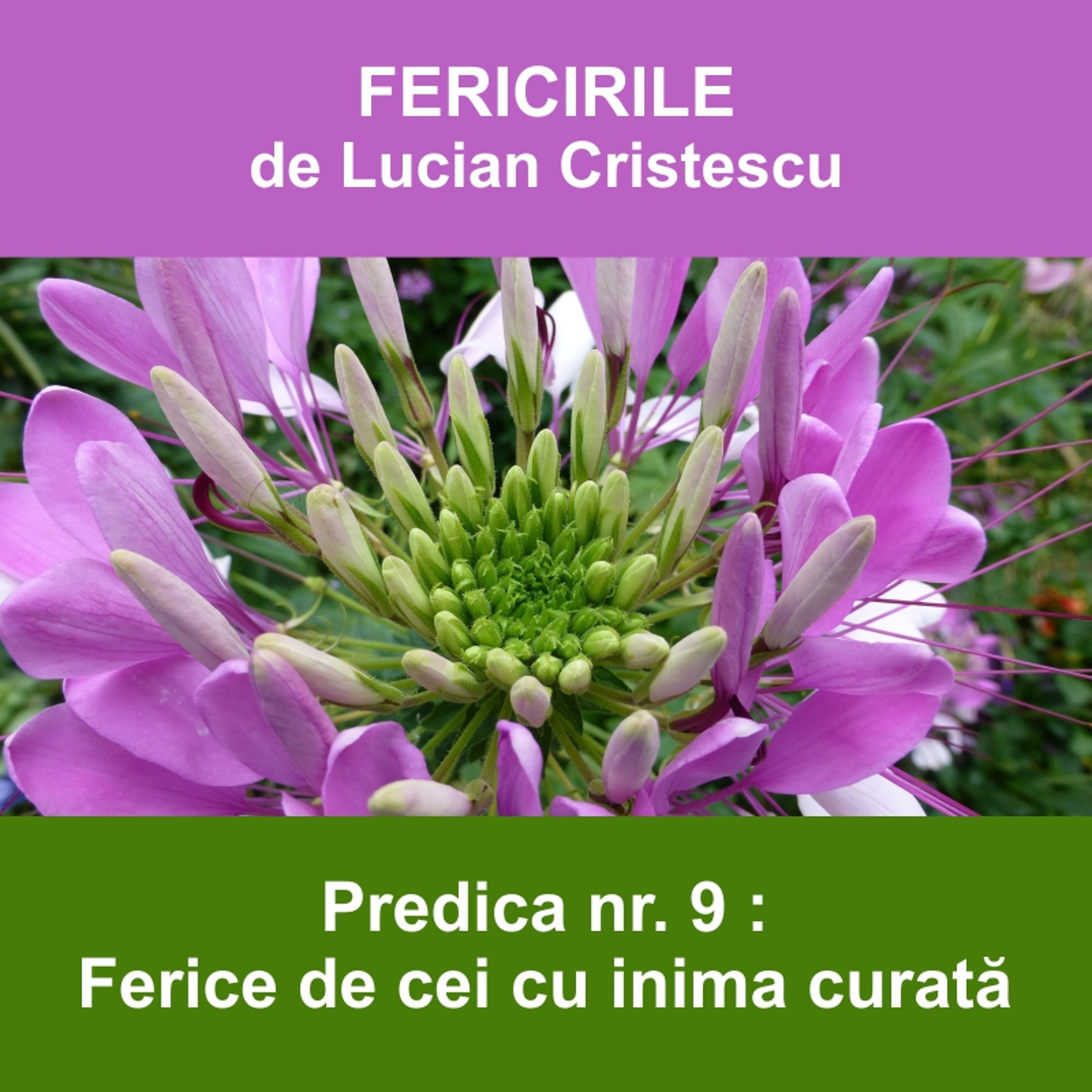 9.  Ferice de cei cu inima curată - FERICIRILE | Pastor Lucian Cristescu