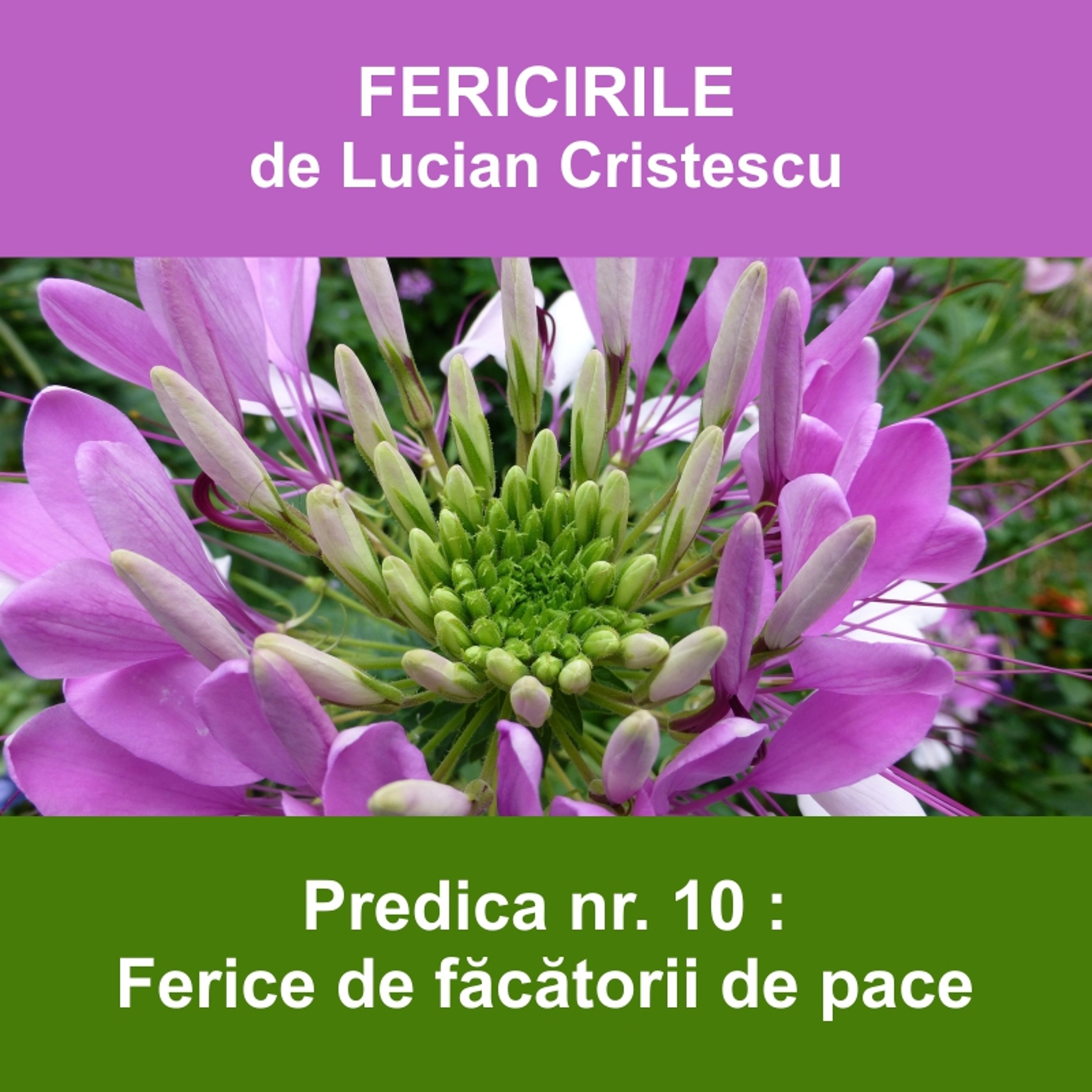 10. Ferice de făcătorii de pace - FERICIRILE | Pastor Lucian Cristescu