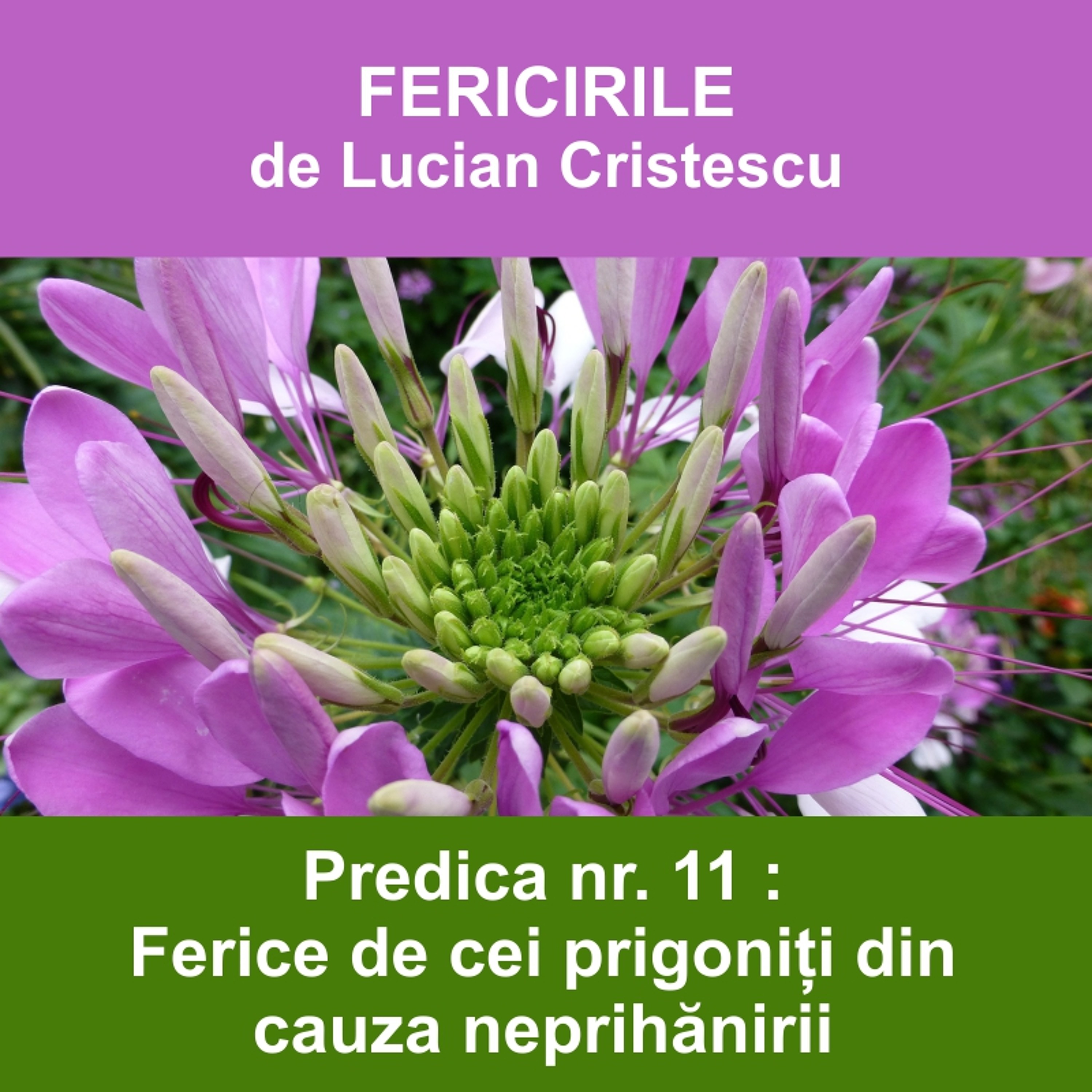 11. Ferice de cei prigoniți din cauza neprihănirii - FERICIRILE | Pastor Lucian Cristescu
