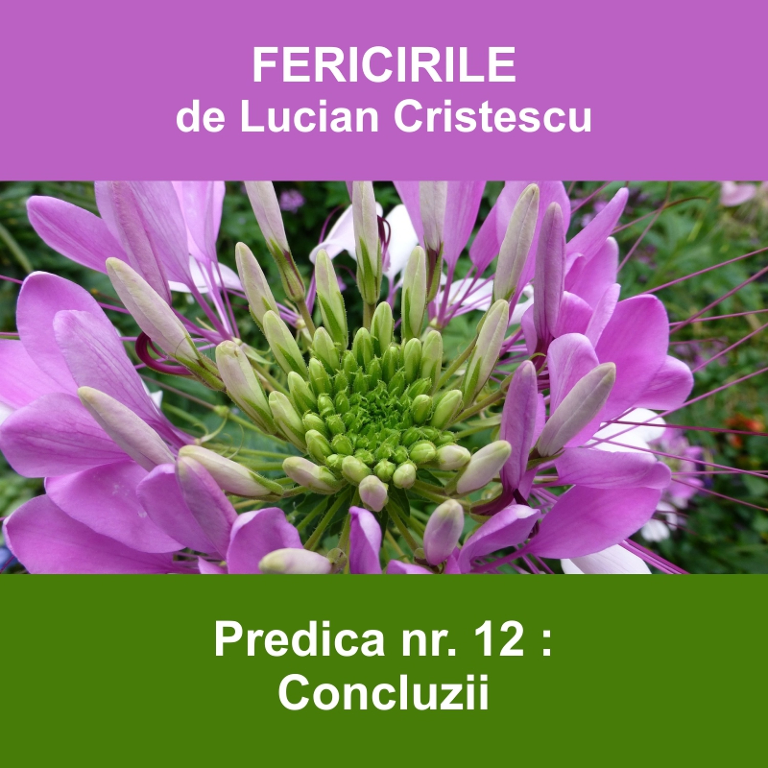 12.Concluzii - FERICIRILE | Pastor Lucian Cristescu
