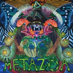 Murkury - The Third Eye Of The Tiger - METAZOA