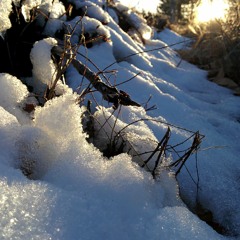 meltwater, sunrays warming