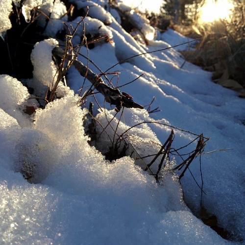 meltwater, sunrays warming