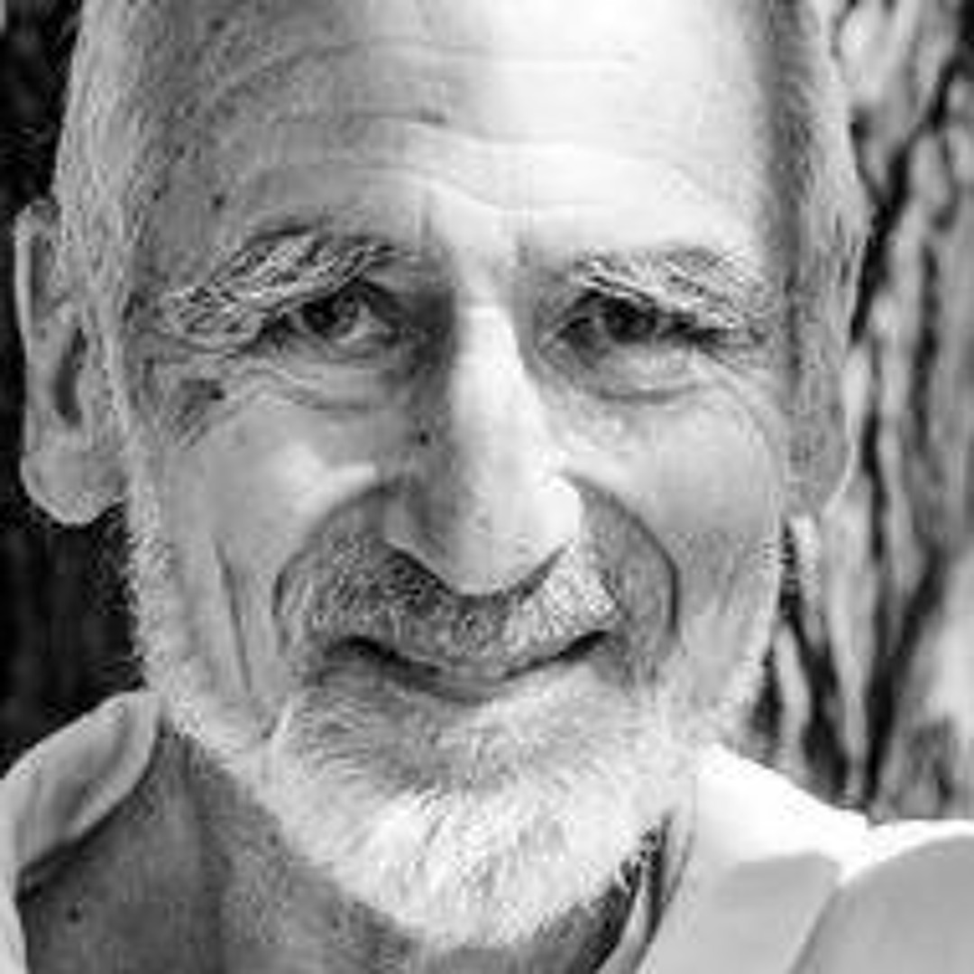 David Ristea Stream Conversations with Michael & Brother David Steindl-Rast by ...