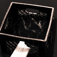 Reflections on the Umar/Seti Beef (15)