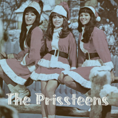 Teenage Dicks - The Prissteens