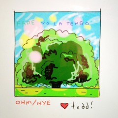 ohm (nye iPad edition) - yo la tengo cover