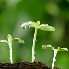 برنامج #أحلى_صباح على بانوراما اف ام واللقاء السادس عشر : هذا الصباح يدعوك للنمو