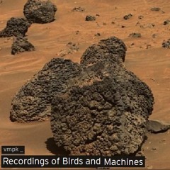 vmpk _repeative selections of flamenco guitar played in alternate time and space